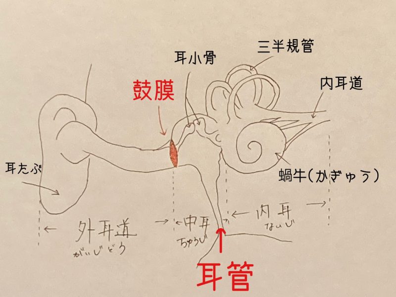 ダイビング　耳抜き