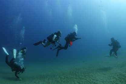 冬のダイビング、2月尾鷲でダイビングをしている様子。透視度がよくキレイ