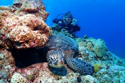 ウミガメとダイバーと同じ目線で撮影した写真