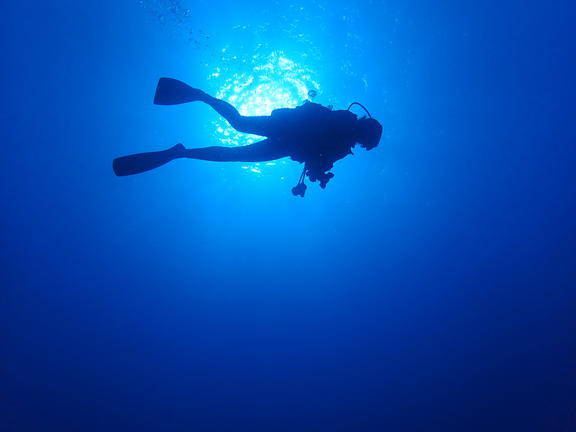 青い海を見上げると、水面越しに光る太陽、そして逆光になって泳いでいるダイバーがいる。