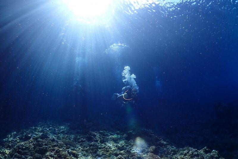 水中に太陽の光が差し光の柱が出来ている。