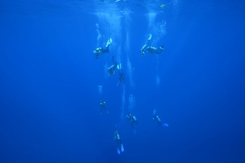 与那国島,ダイビング