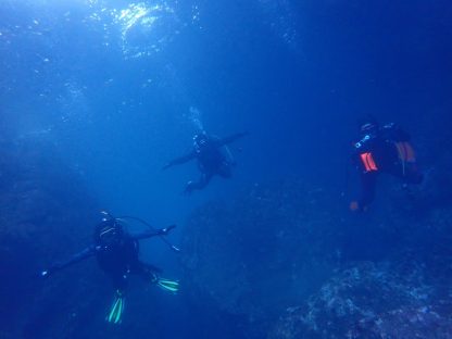 兵庫県竹野でダイビングしている様子。