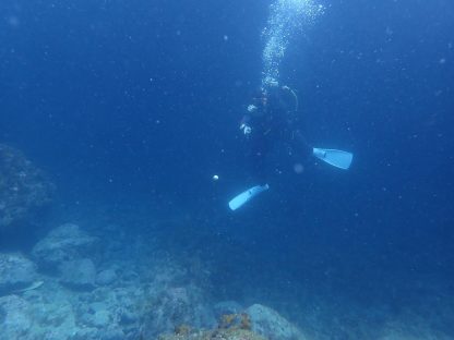 ダイビング中にゴルフボールを見つけて投げてみたら肩を痛めた重野