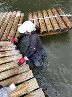 六甲山の水上アスレチックの水上アスレチックで池に落ちているよ様子