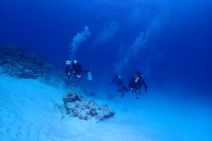 沖縄本島北部でダイビングしている様子。