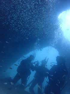 白浜色津でアーチの中での記念写真。キンメモドキの大群に囲まれている。