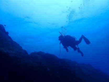 串本でダイビングをしている様子。青い水中でダイバーが一人泳いでいる様子