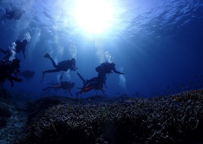 石あがき島ダイビングでサンゴ礁の上を泳いでいる様子