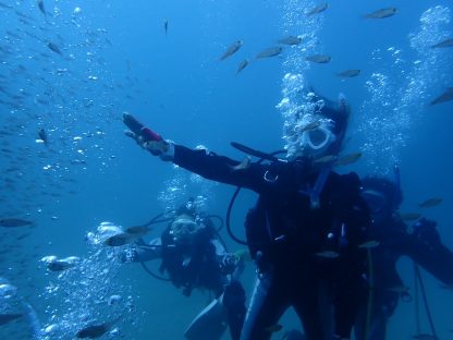 初めてのボートダイビングで魚を眺めているダイバーの様子。